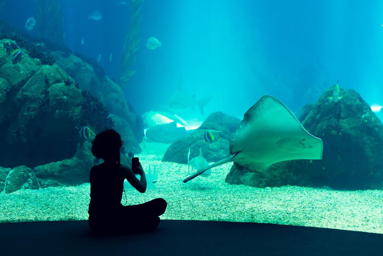 Oceanário de Lisboa